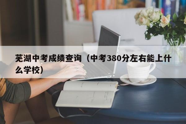 芜湖中考成绩查询(中考380分左右能上什么学校)